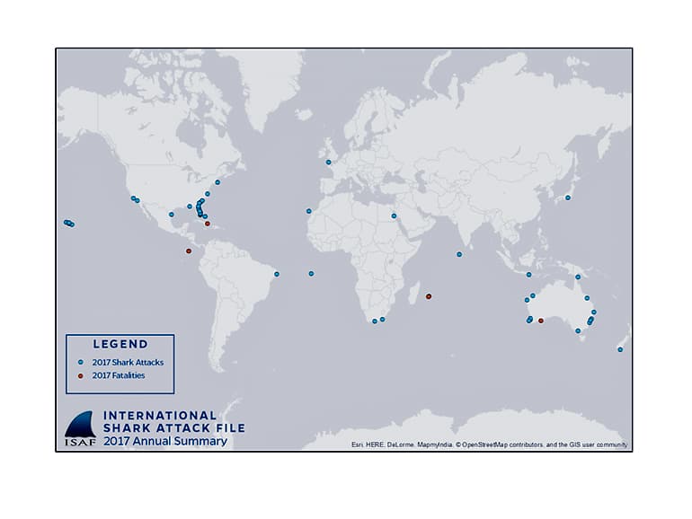 shark attack map
