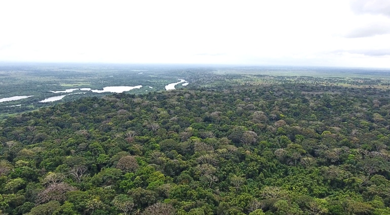 aerial view of the Ceibal region