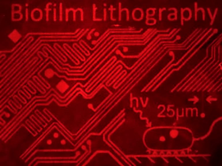 Biofilm lithography image