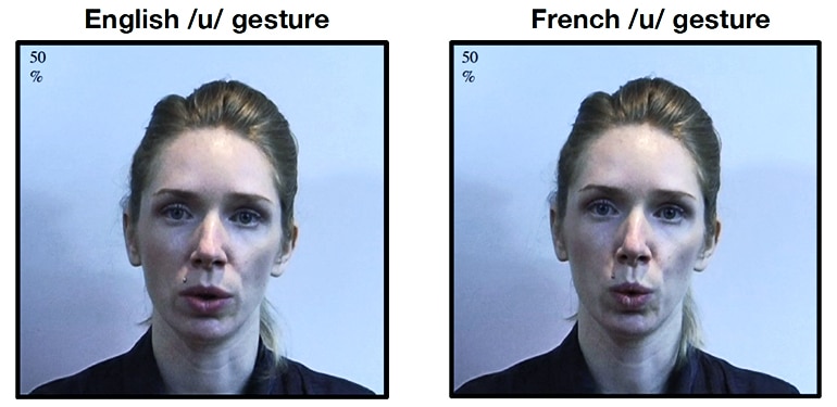 Lips & vowel sounds comparison