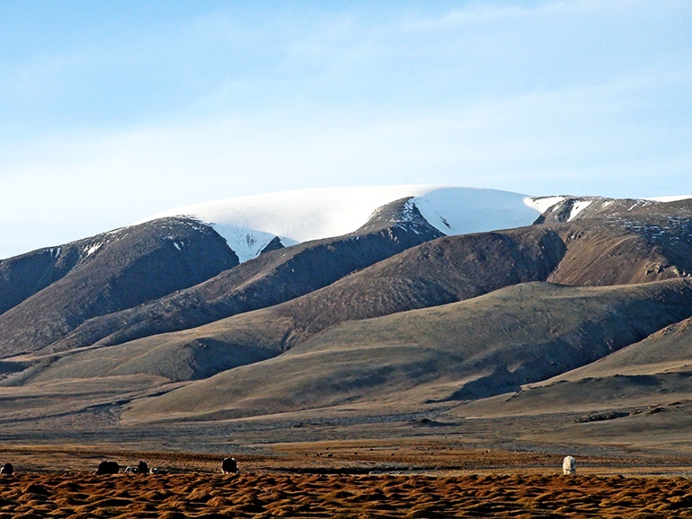 Sutai Mount Altai Mountains