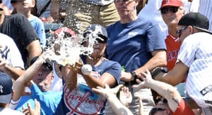 foul ball hits fan's beer - baseball rule