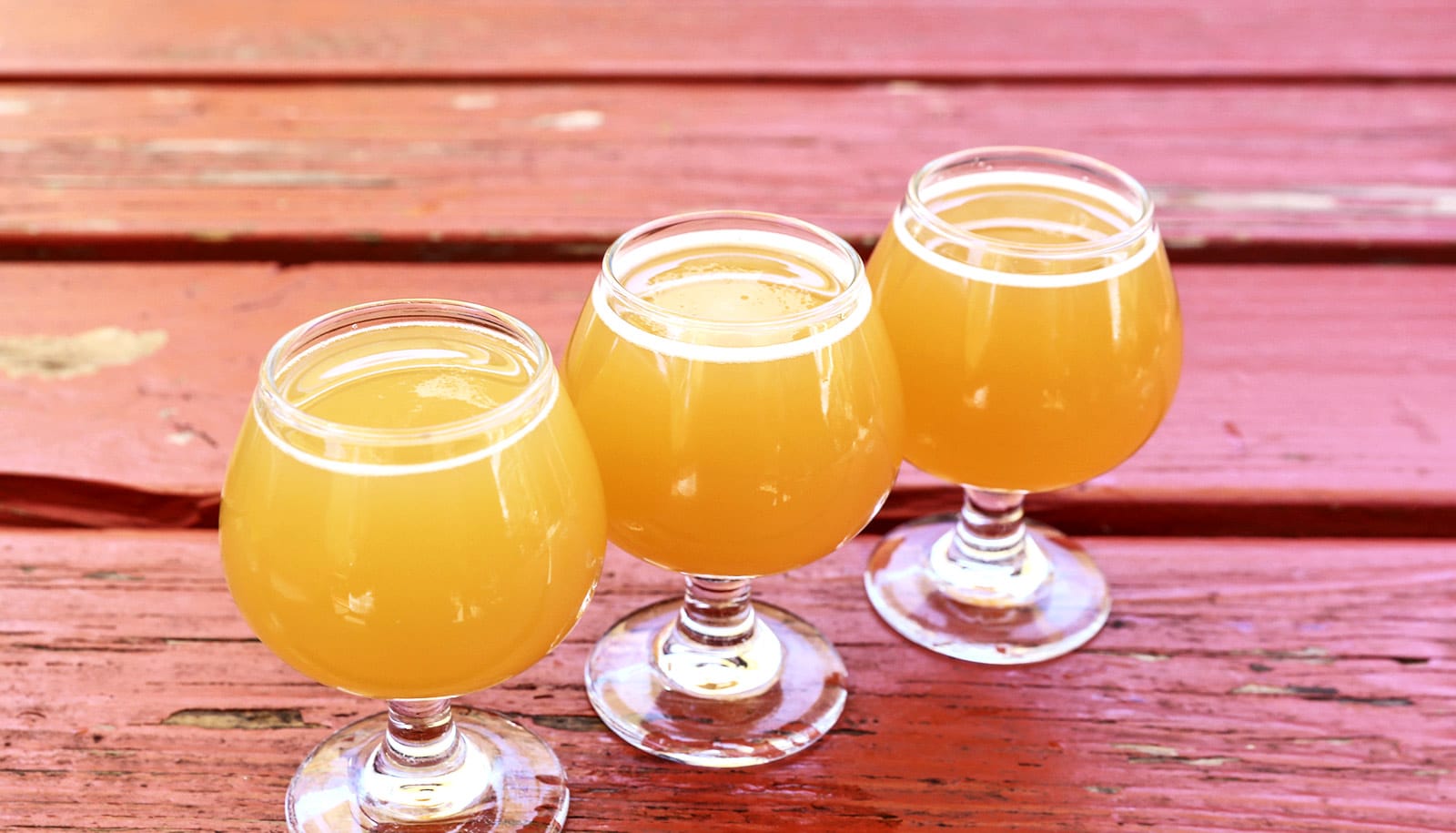 How to brew hoppy beer, no hops required Futurity