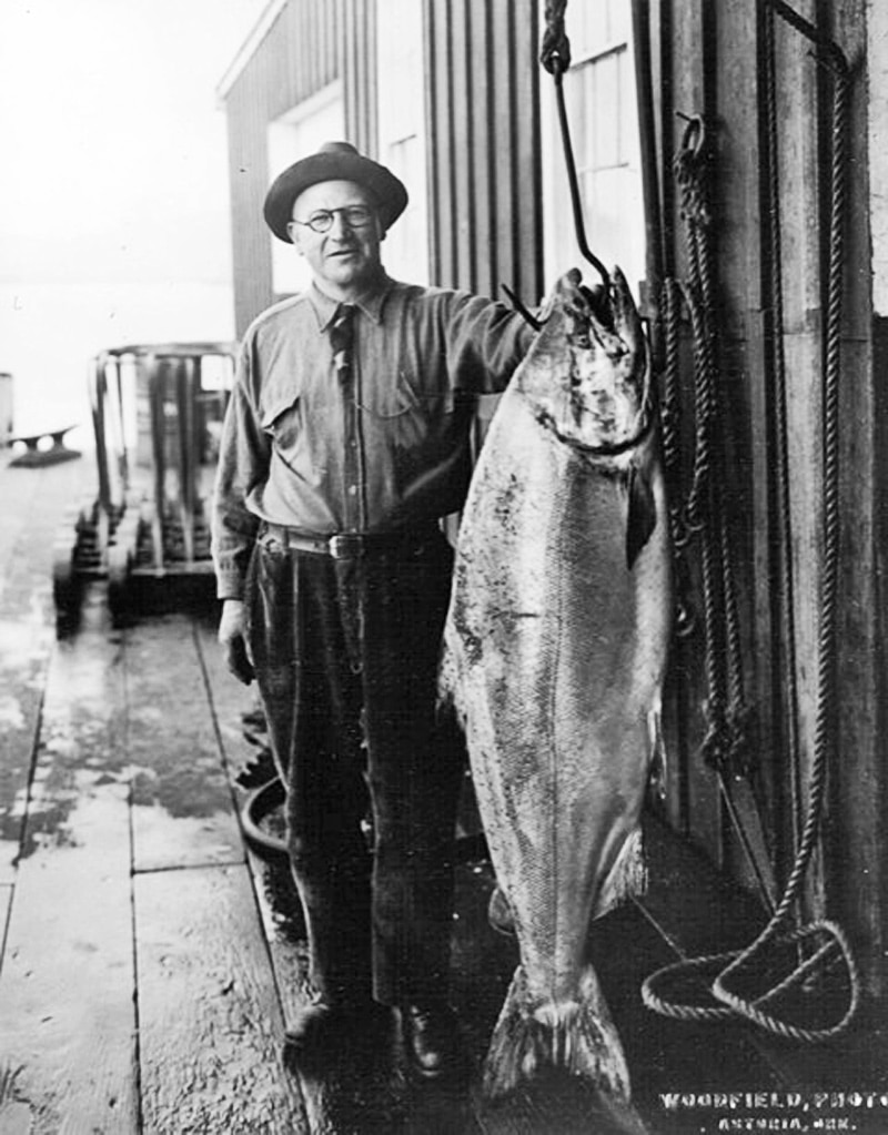 huge chinook salmon in 1925