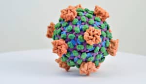 reovirus 3D print (rotavirus concept)