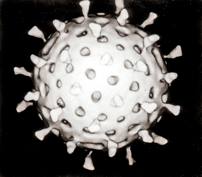 rotavirus