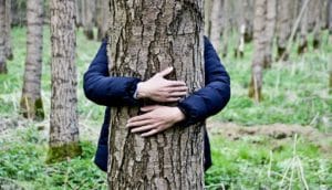 tree hugging (trees concept)