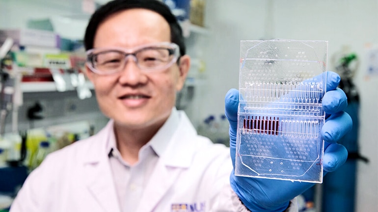 cancer cell-based assay