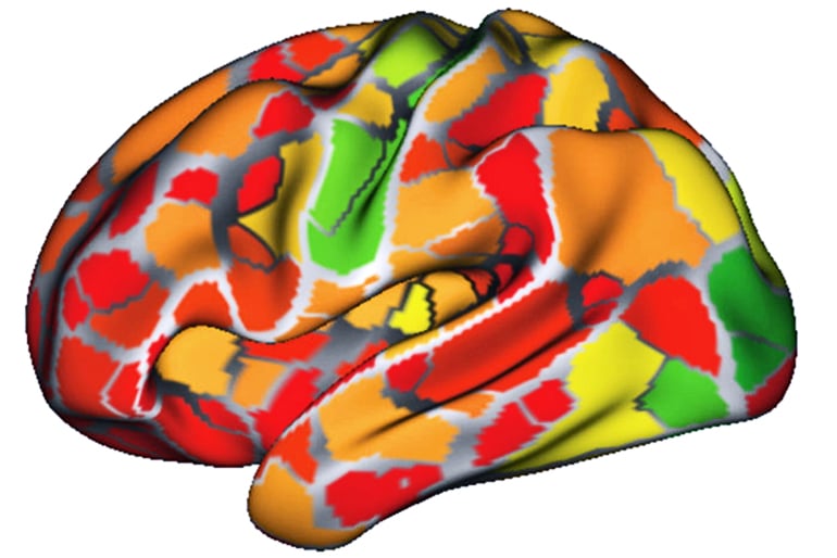 fcMRI heat map