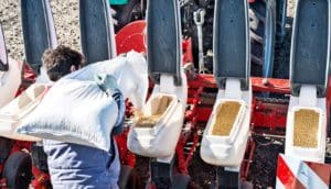 soybean seeds farming