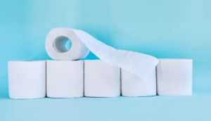 toilet paper rolls (norovirus concept)