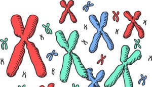 balanced chromosomal aberration - illustration