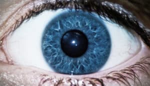 eye close-up