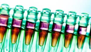 green lab tubes - personalized medicine