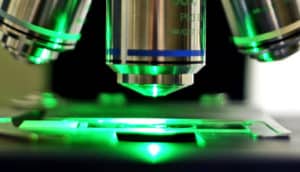 microscope slides green light