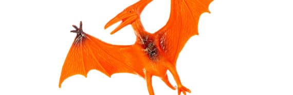 red pterodactyl