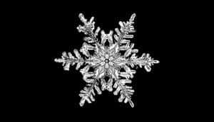white snowflake on black - Earth's first snowfall