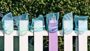 ziplock bags on a fence (drug delivery concept)
