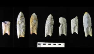 Clovis points on black