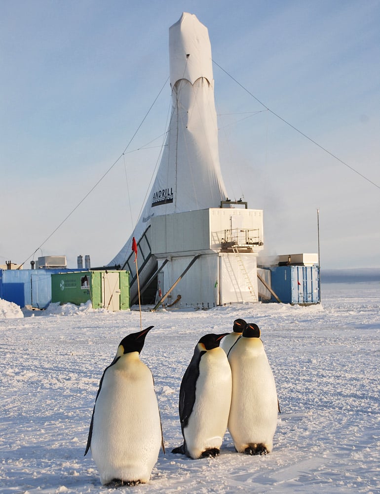 drilling rig and penguins