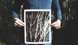person holds image of branches in front of body - intestinal inflammation
