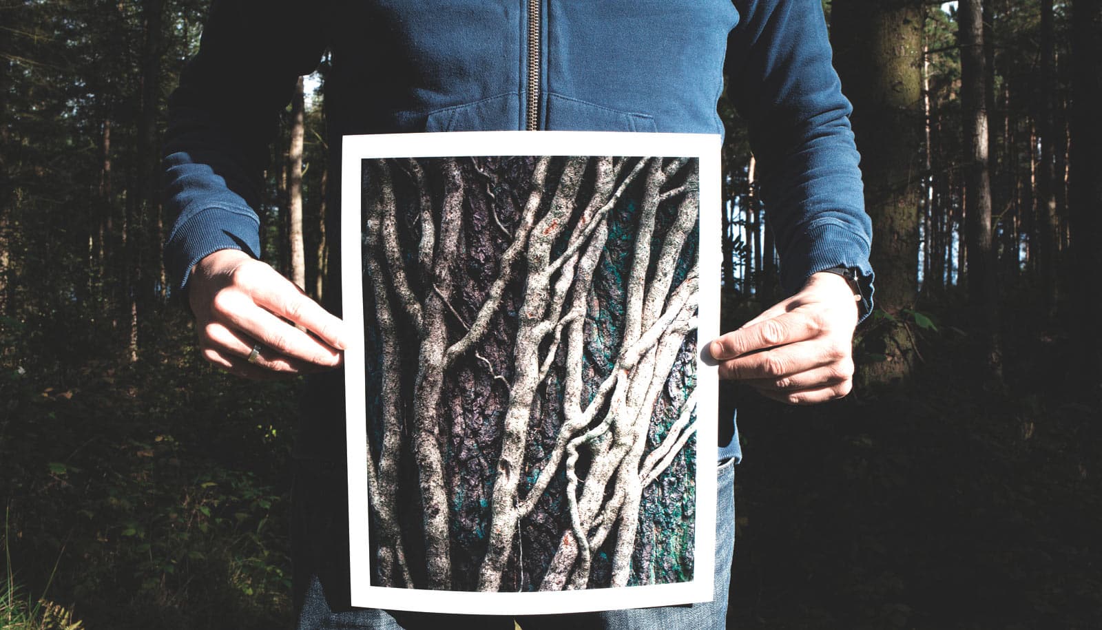 Say tree