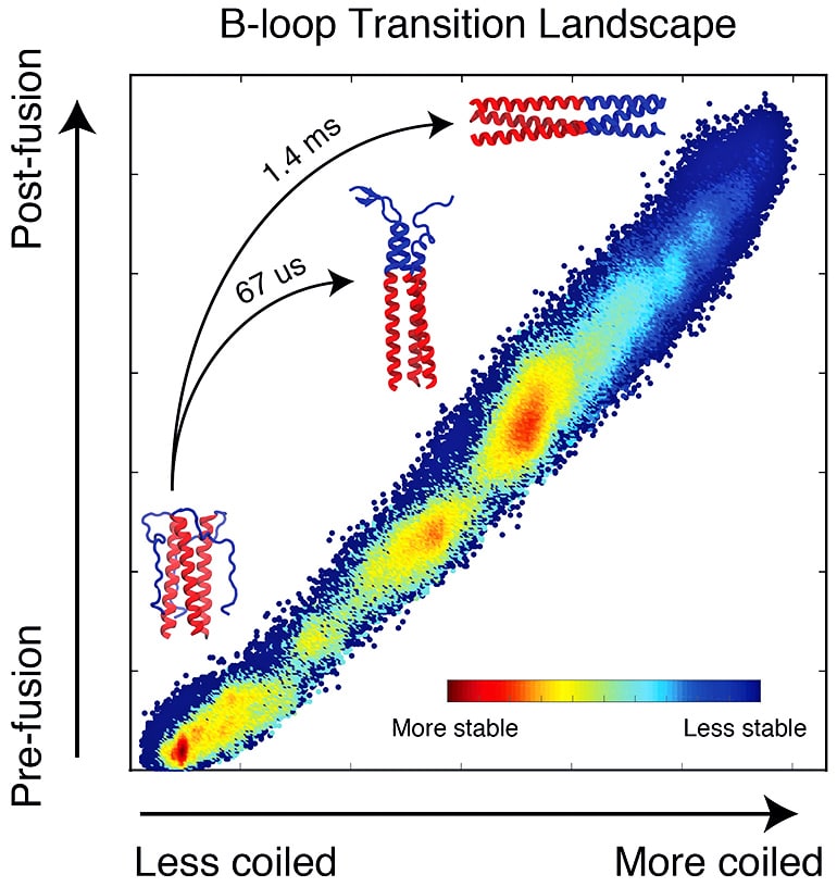 b-loop transition landscape diagram 