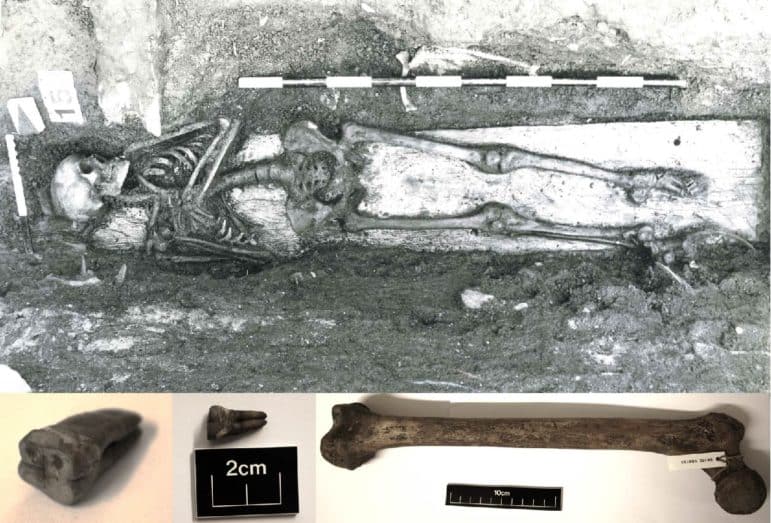 skeleton with DNA from enteric fever