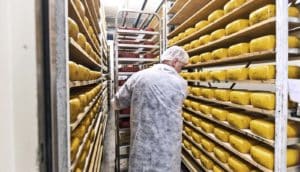 cheese storage (food safety concept)