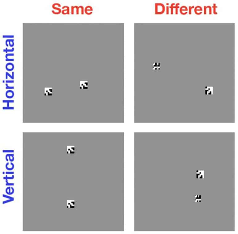 computer vision test