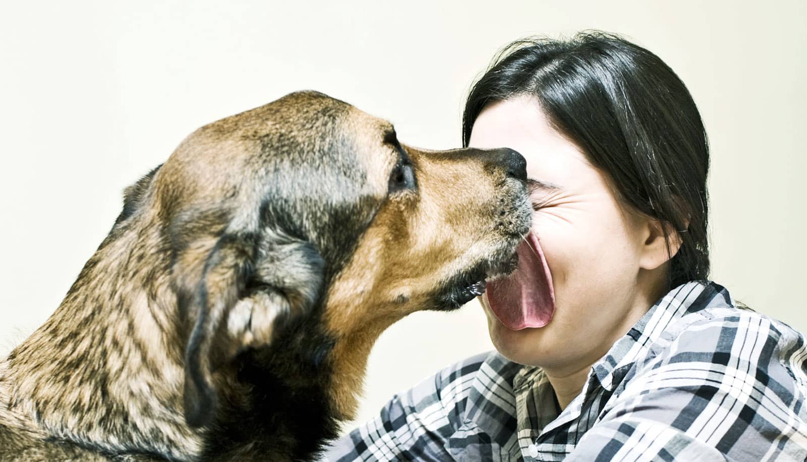 Лизание собаки. Собака облизывает. Собачий поцелуй. Хозяин собаки. Поцелуй с собакой.
