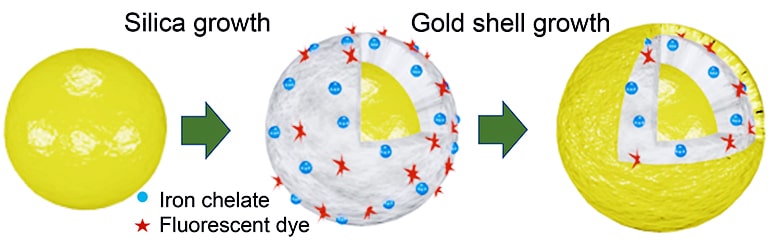 MRI contrast diagram