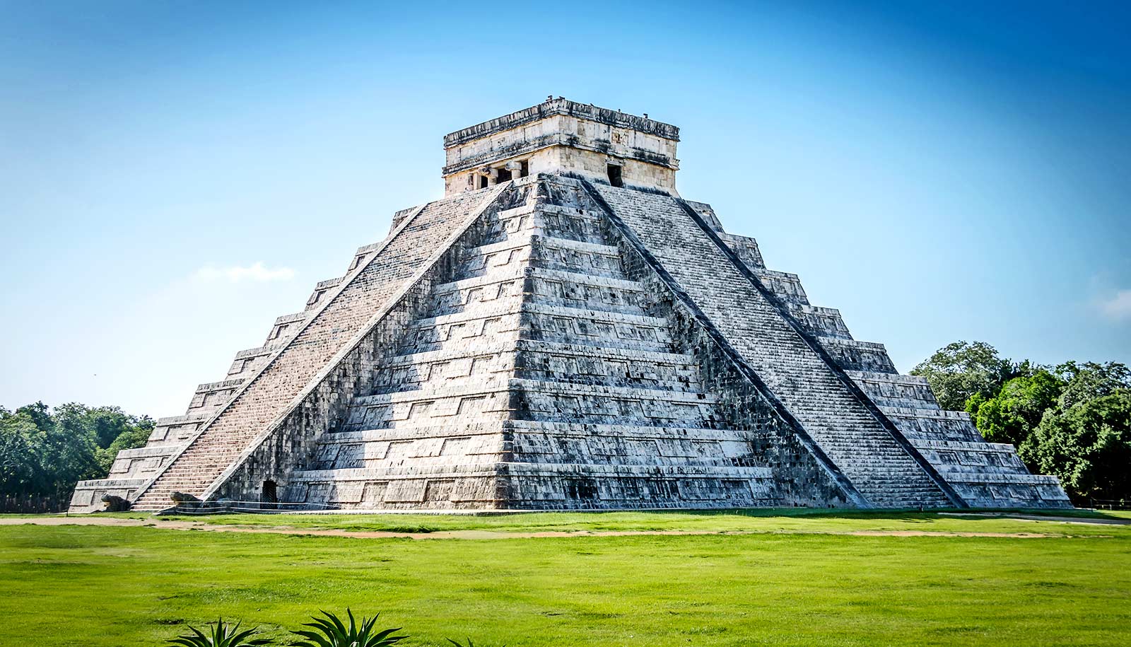 Soil Hasn t Recovered From Ancient Maya Cutting Down Trees Futurity