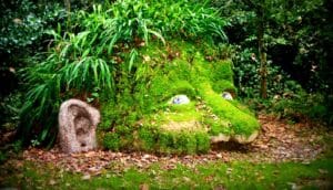 mossy face in garden (mossy cells concept)