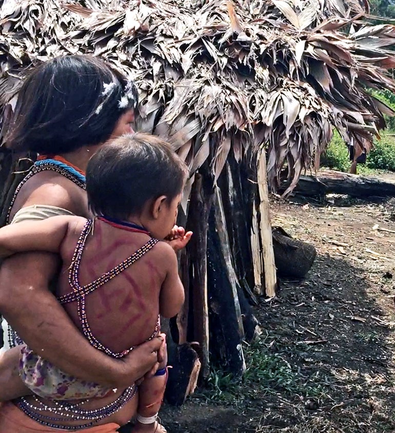 Researchers followed a group of urban adults and children during a visit to this Venezuelan rainforest village, to see how their gut microbes would change. (Credit: Maria Gloria Dominguez-Bello/Rutgers)