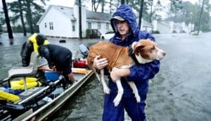 rescue during Hurricane Florence