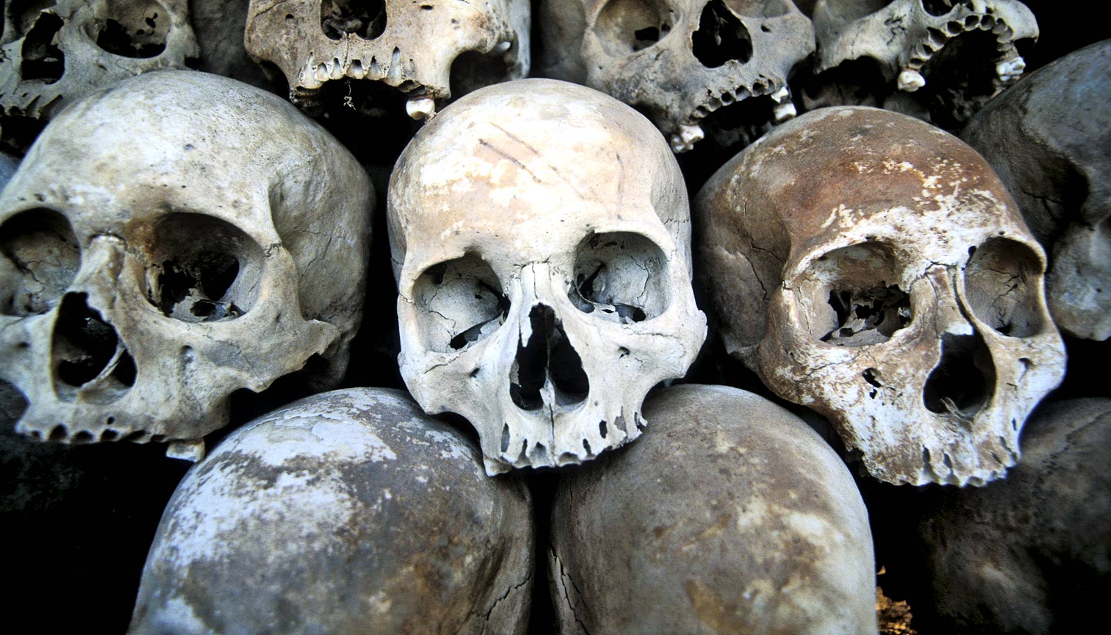 skull dna fills in