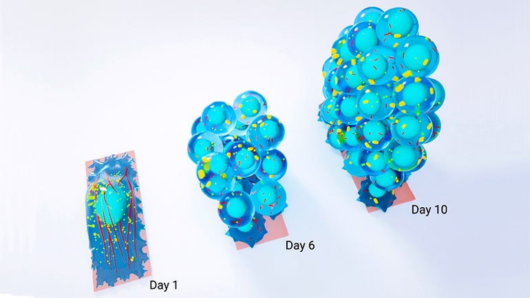 stem cell process