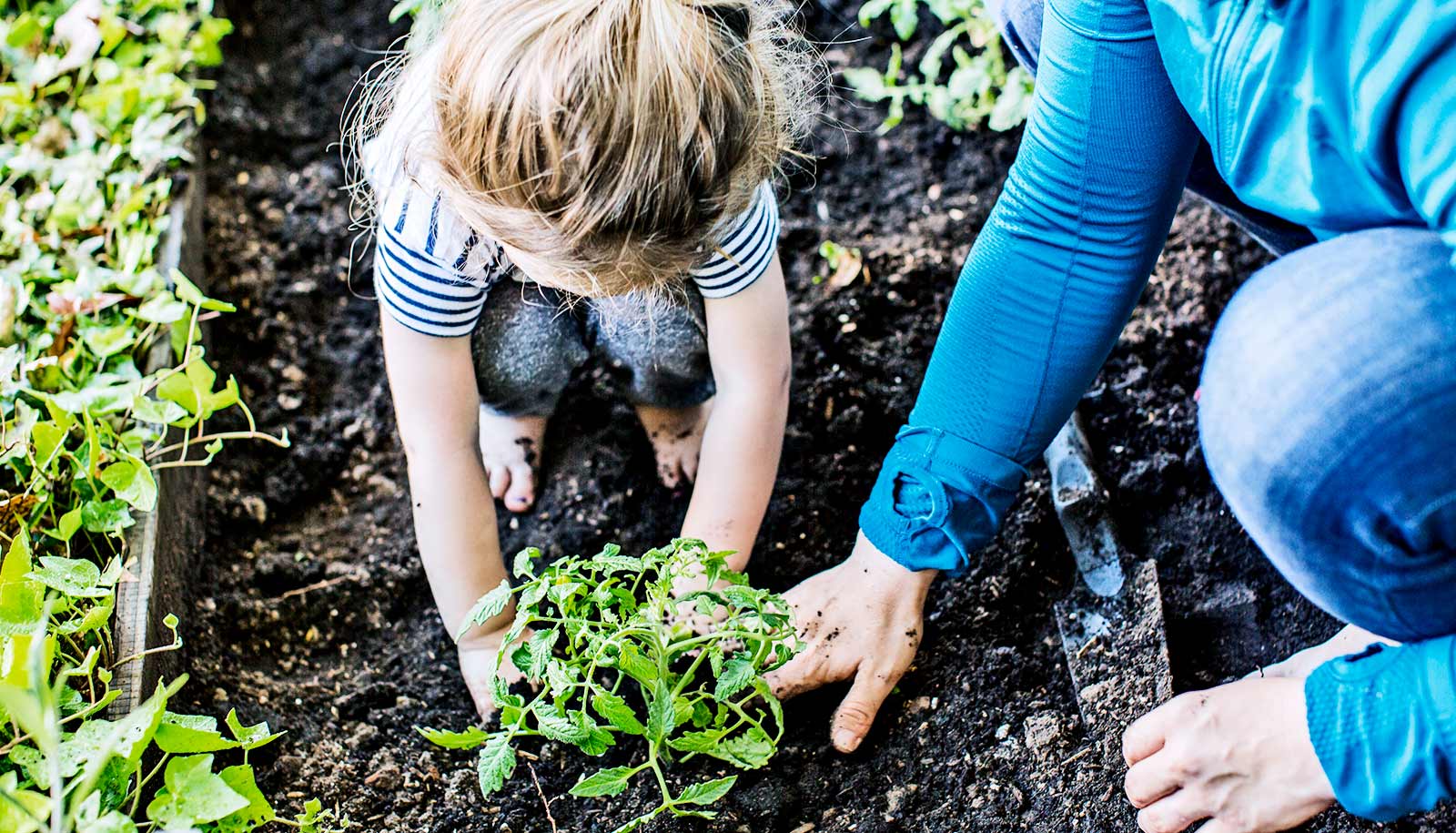 young girl gardening