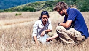 diversity in the field