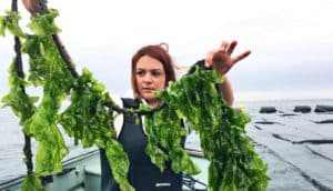 holding sea lettuce