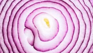 red onion layers (fuel cells concept)