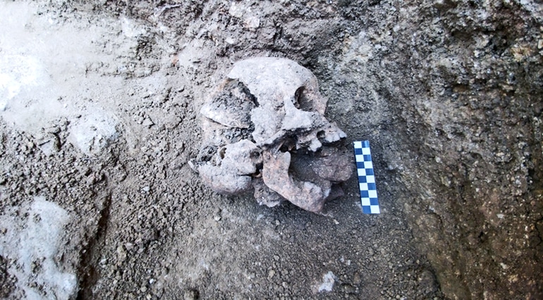 vampire burial skull