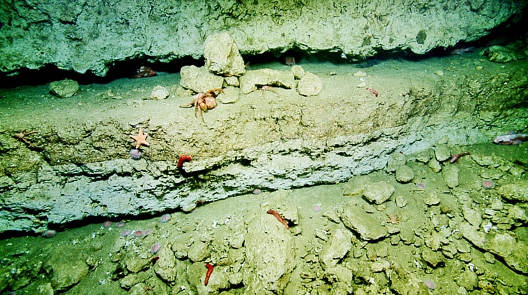 Catalina's ancient, underwater beaches 