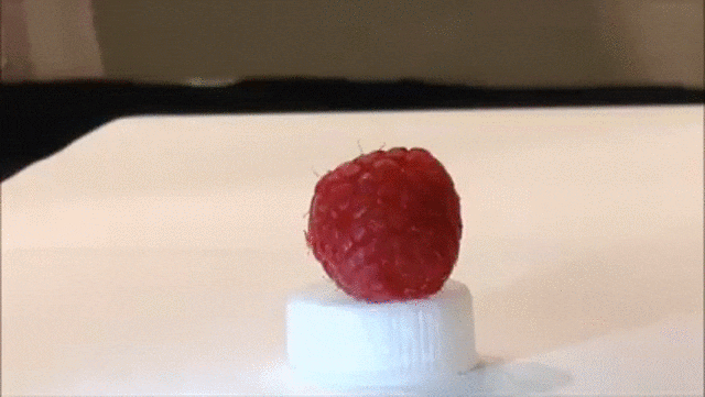 Gif of a robot gently touching a raspberry.