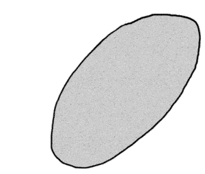 animation shows the Levallois technique of knapping stone