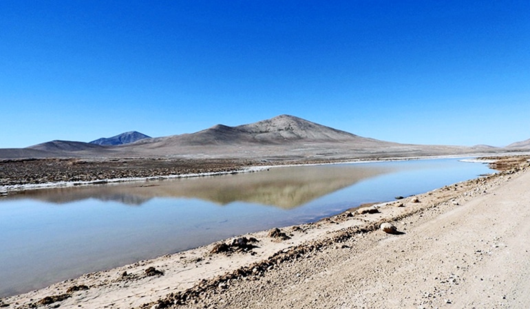 A small lagoon in the Atacama Desert