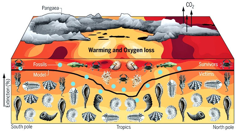 permian period plants