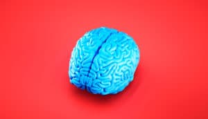 blue brain on red