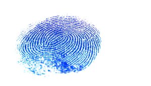 blue fingerprint on white (artificial intelligence concept)